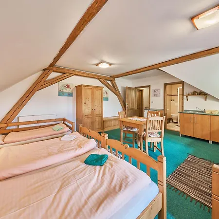 بيت للعطل Ruzovka By Interhome Uhlejov